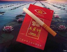 五叶神是特马猜一最佳动物,五叶神是特马猜一肖开过什么