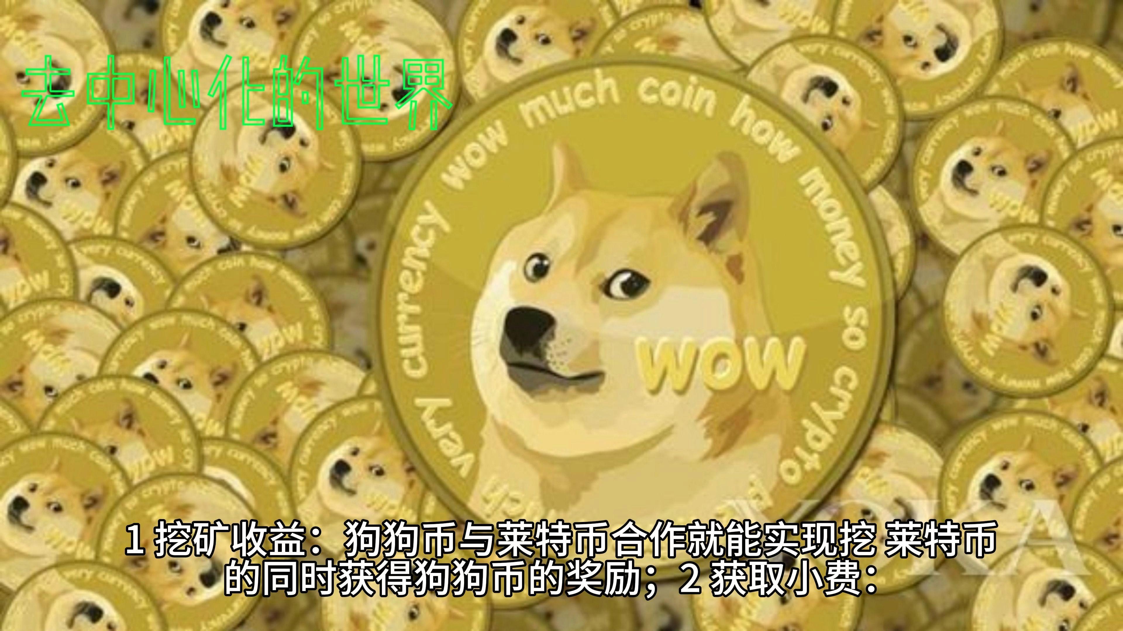 狗狗币是什么,狗狗币是什么时候暴涨的