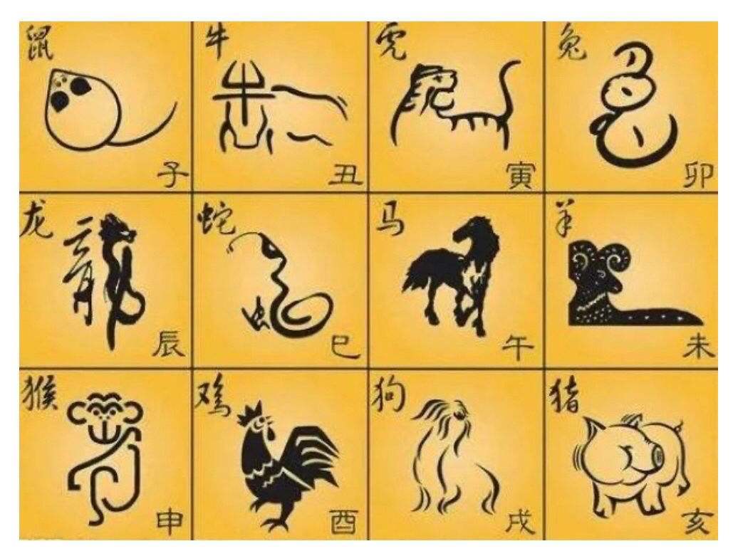 今期生肖六六来什么肖,今期生肖六六来是什么动物