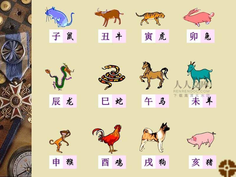 正确答案是什么生肖动物的简单介绍