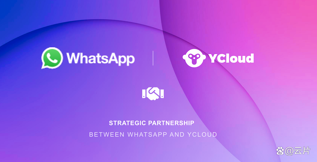 whatsappbusiness官网,whatsapp official site