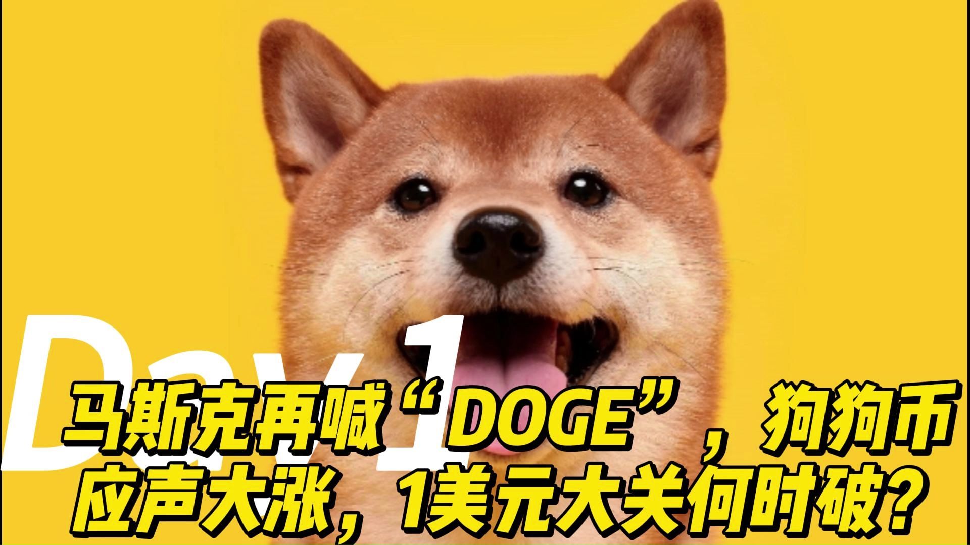 狗狗币的今日价格,狗狗币的今日价格人民币