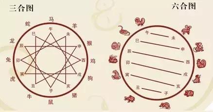 今期出码三六九猜一生肖,今期出码二六九指什么生肖