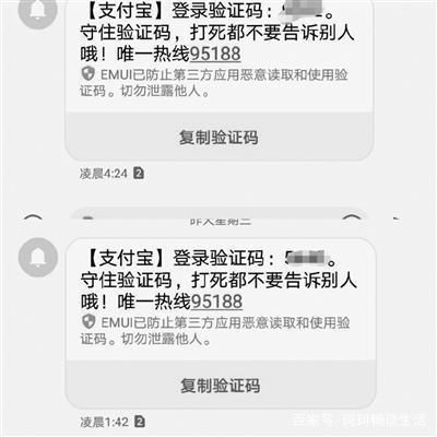 纸飞机短信验证码平台,纸飞机国内号码收不到验证码