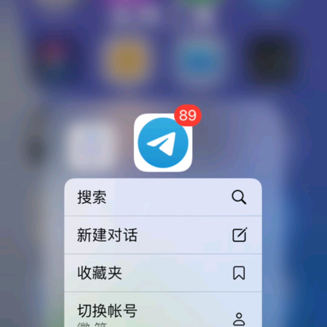 iphone纸飞机中文邀请码,iphone纸飞机怎么设置中文