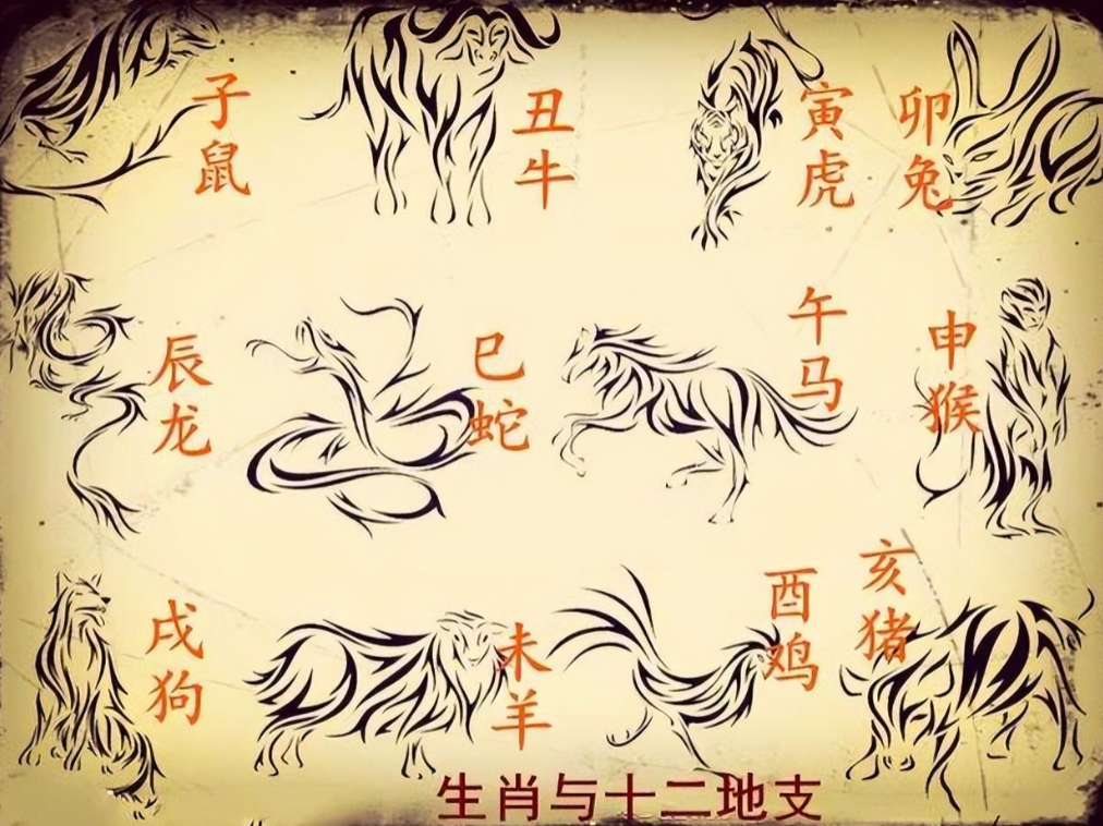 今期生肖有玄机是指什么生肖的简单介绍