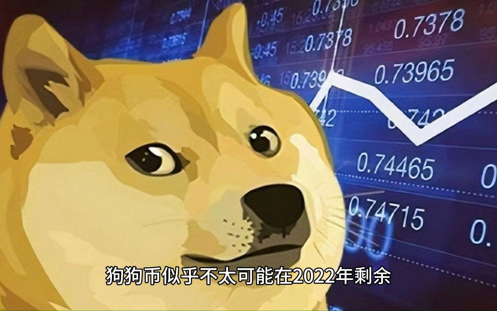 关于狗狗币最新消息及未来发展前景的信息