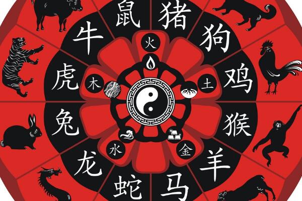 6合玄机最准确的生肖数字,6合玄机最准确的生肖数字是什么