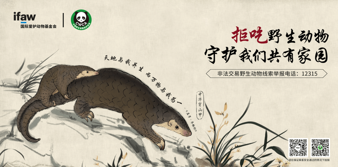 立春是特马打一动物谜底解析,十二生肖立春是特马代表什么生肖