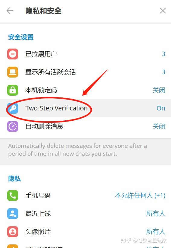 telegeram要梯子,纸飞机telegeram加速器