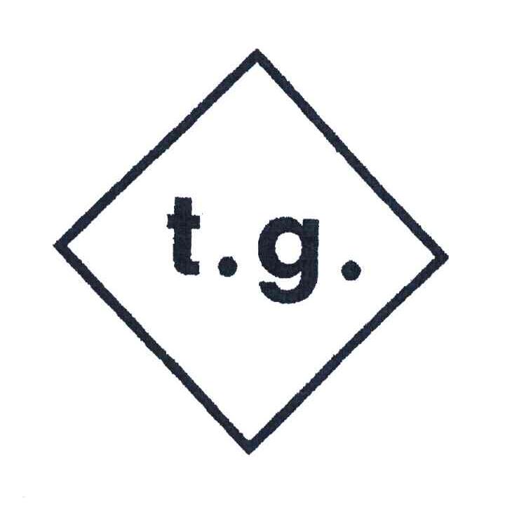 tg是什么网站,TG是什么网站的缩写