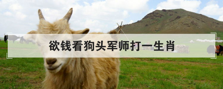 欲钱猜一肖是什么,欲钱猜一肖一234949