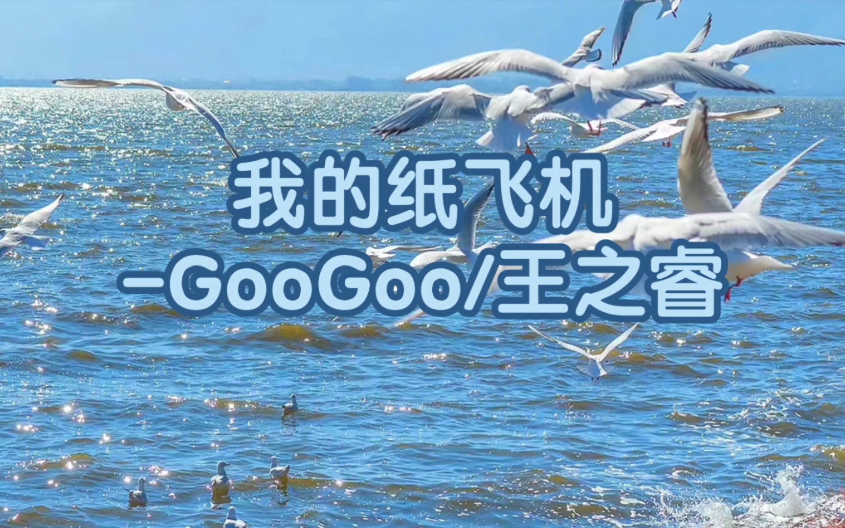 纸飞机官网电脑版,纸飞机中文版下载地址