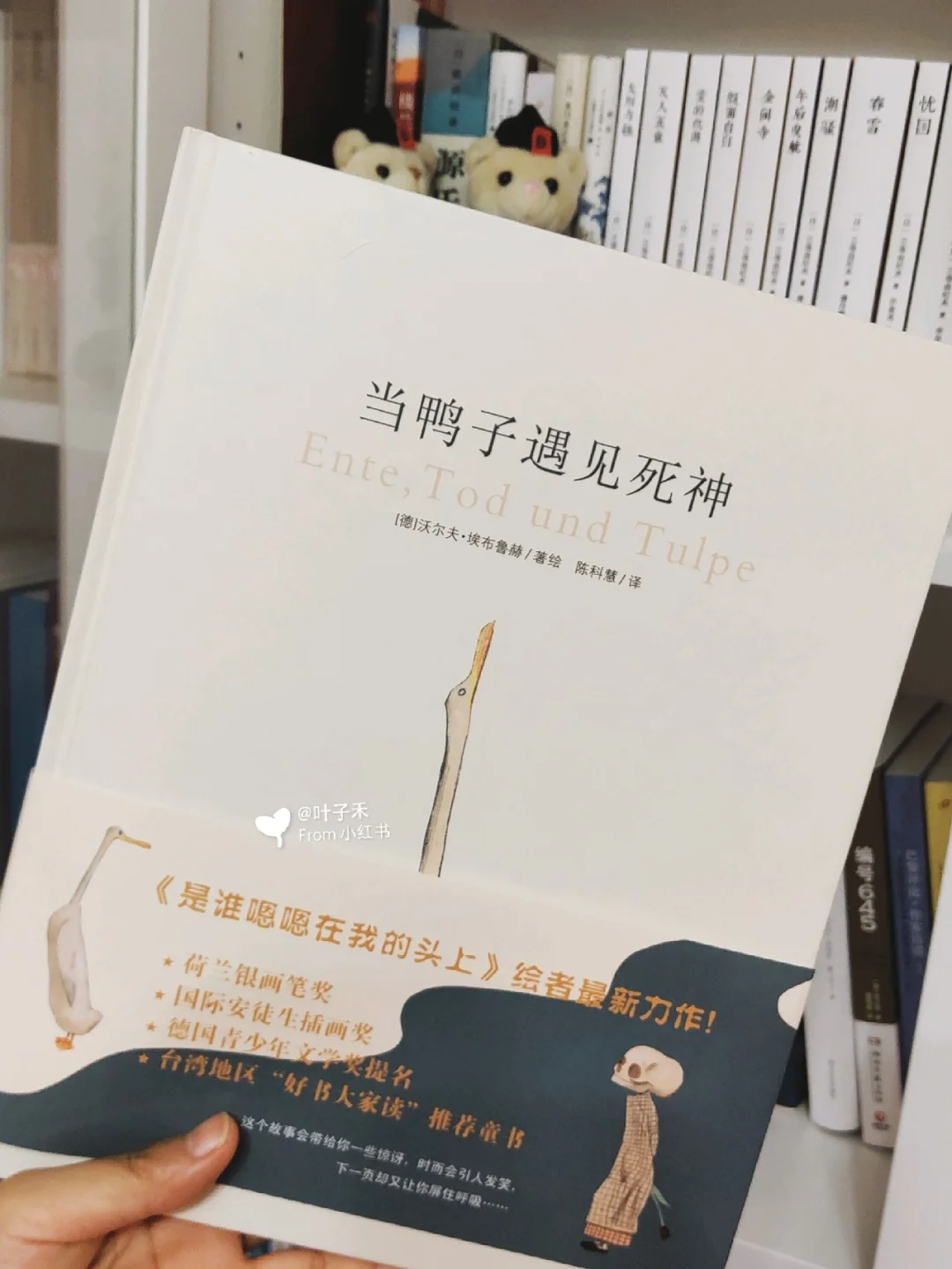 纸飞机账号死亡是什么,纸飞机用账号密码怎么登陆