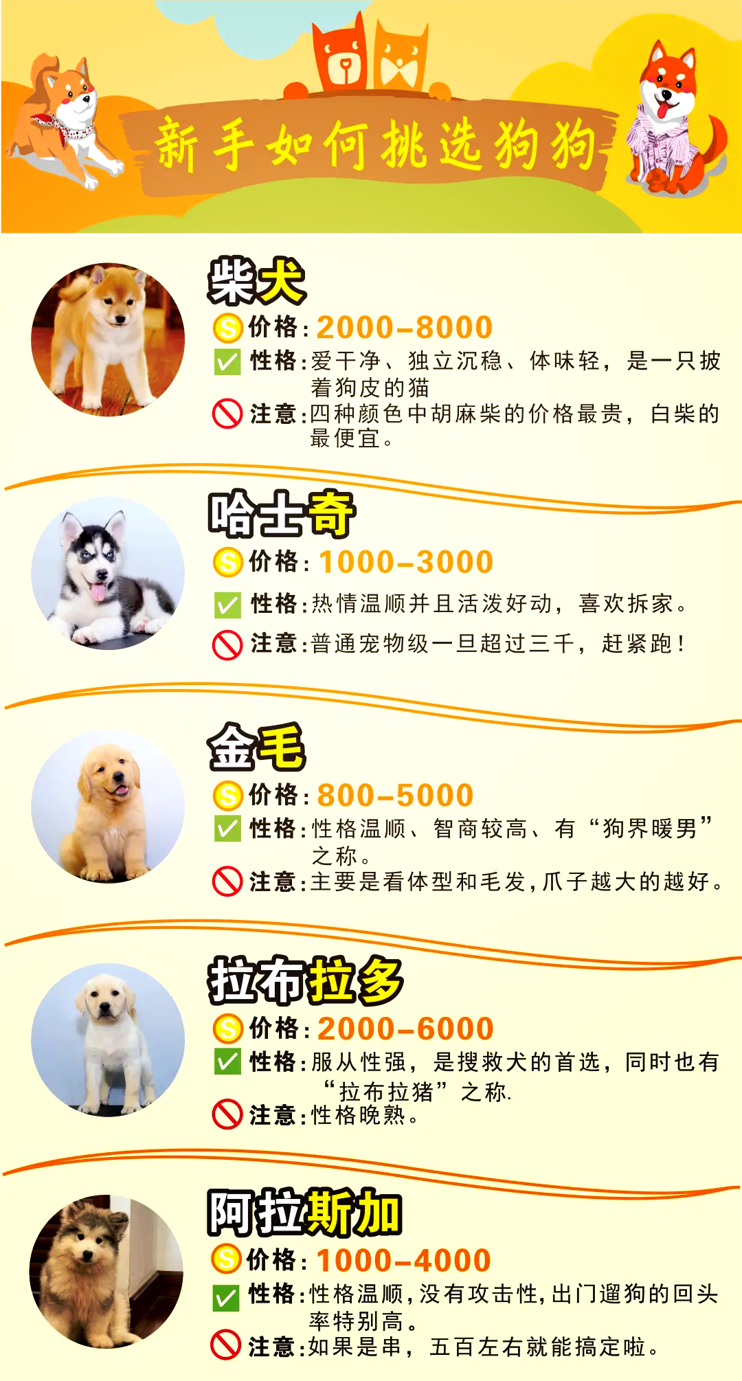 狗狗币价格今日行情,狗狗币价格今日行情人民币