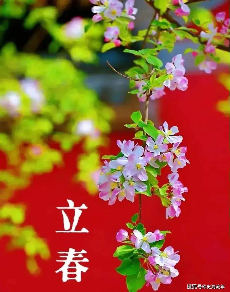 立春是特吗打一生,立春是特马猜一数字?