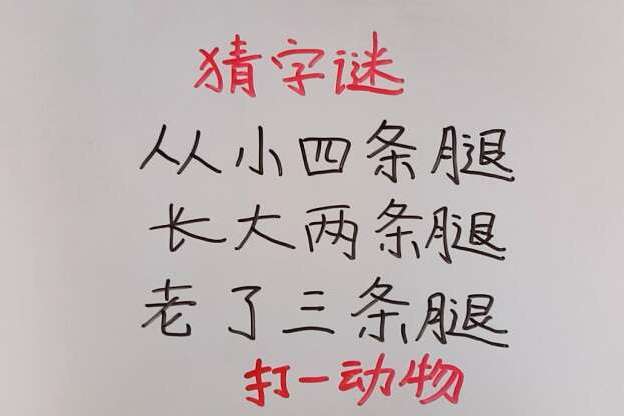 一清二白打一动物谜底,一清二白的动物是什么生肖