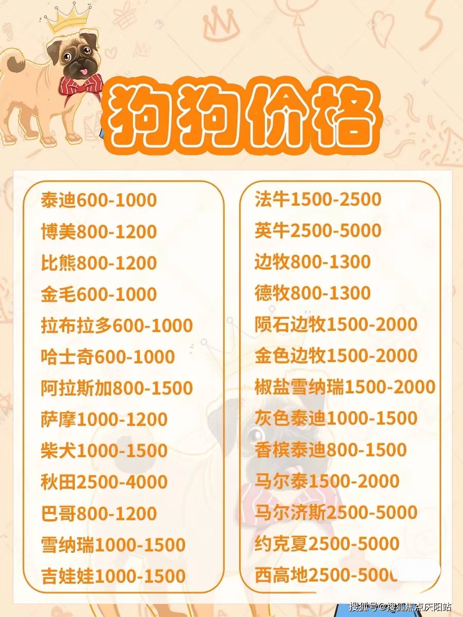 狗狗币今日价格行情,狗狗币今日价格行情最新