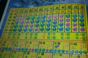 今期生肖是什么意思,今期生肖也可中是哪一肖