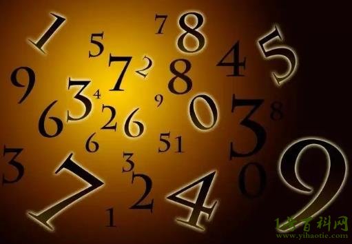 六字有玄机是什么数字,六字有玄机是什么数字啊