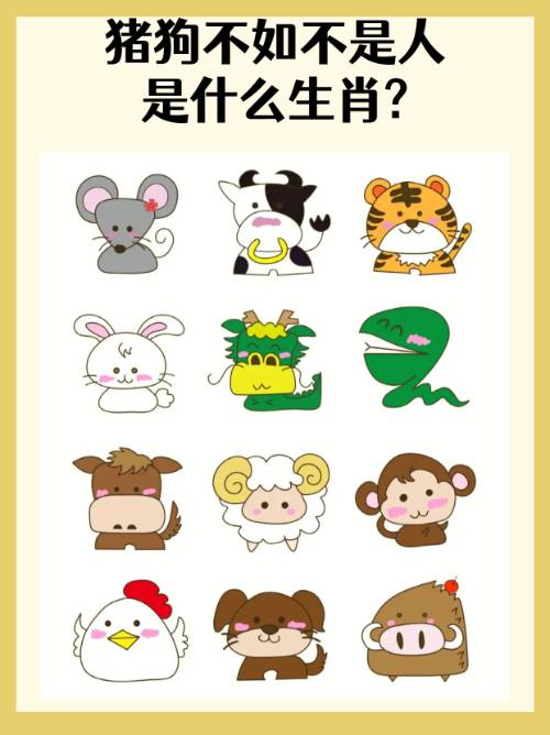 关于中间最佳答案是什么生肖的信息