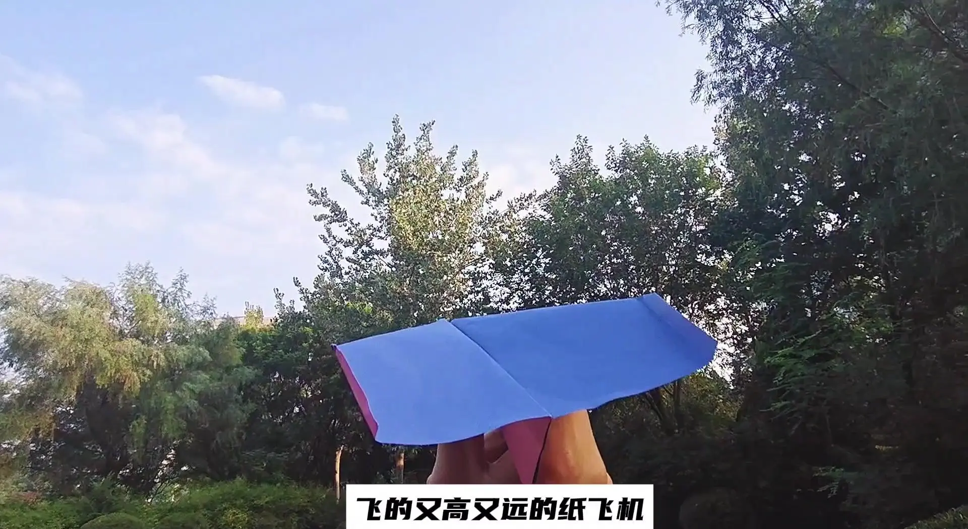 纸飞机节点官网,纸飞机节点怎么用