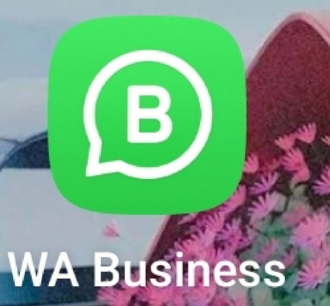 whatsapp下载官网国际分享,whatsappdownloadfree