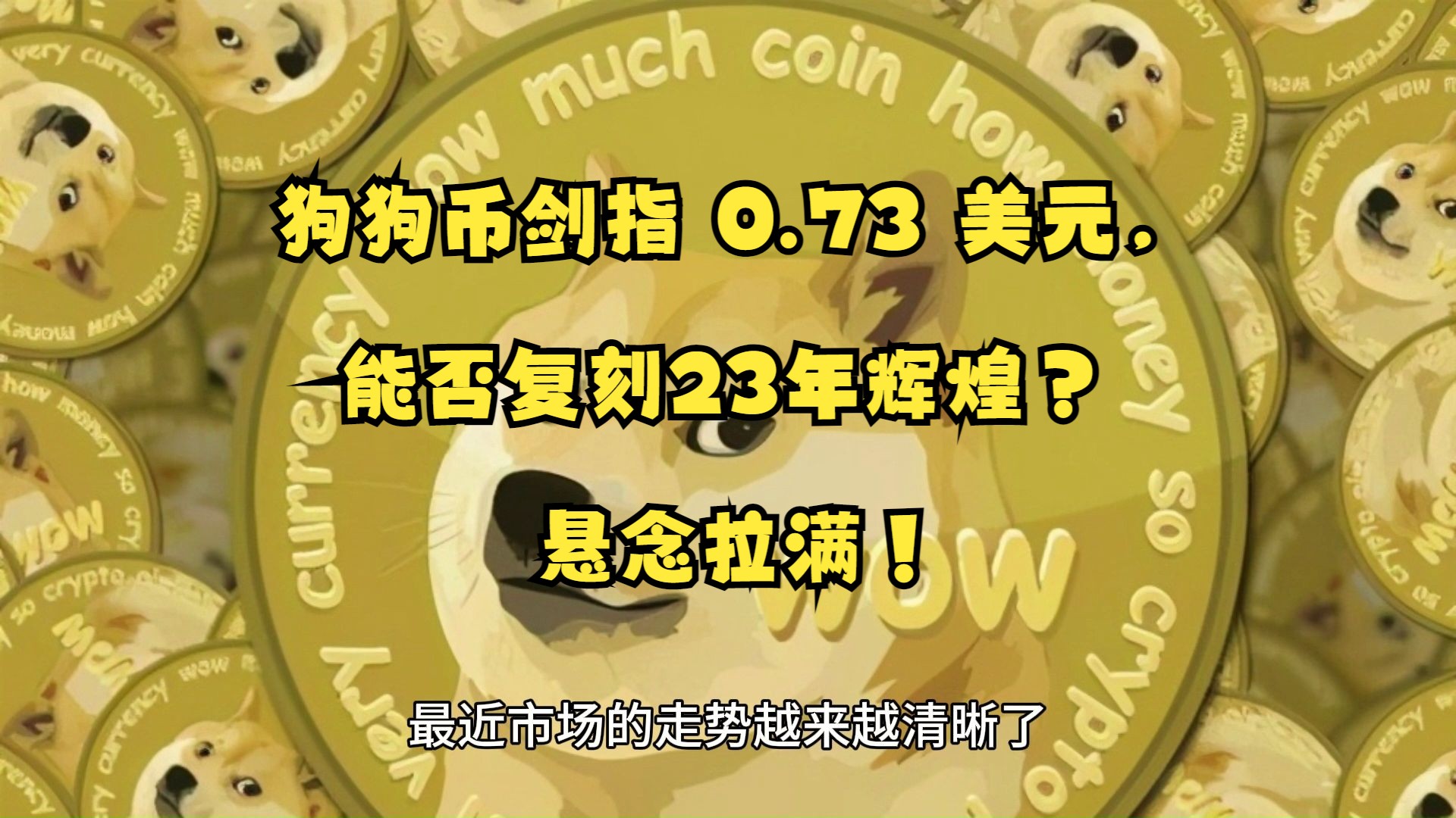 狗币美金实时行情,狗币美金实时行情查询