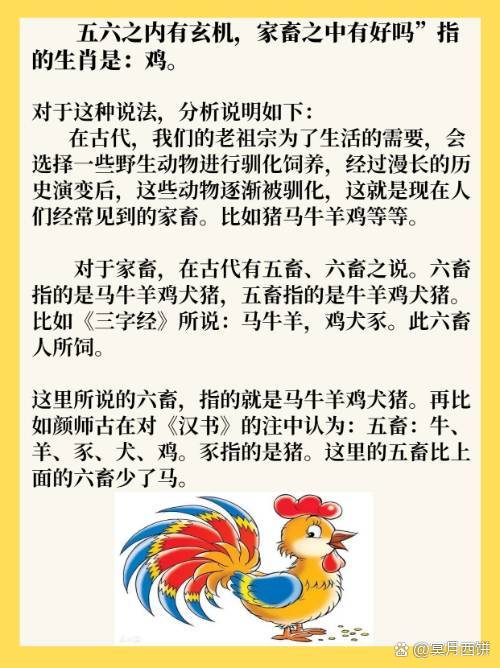 六部玄机码中码打一生肖数字,六部玄机码中码三尾六尾共同合