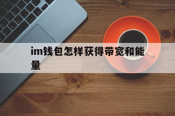 im钱包怎样获得带宽和能量、im钱包支持trc20usdt吗