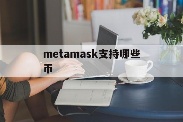 metamask支持哪些币、metamask可以存usdt吗