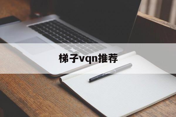 梯子vqn推荐，2020梯子推荐