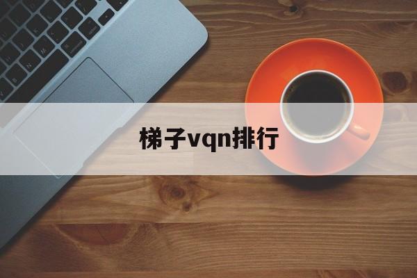 梯子vqn排行，2021梯子推荐